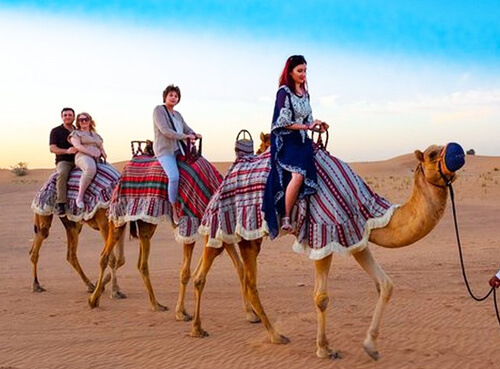 arabian desert safari morning services and time