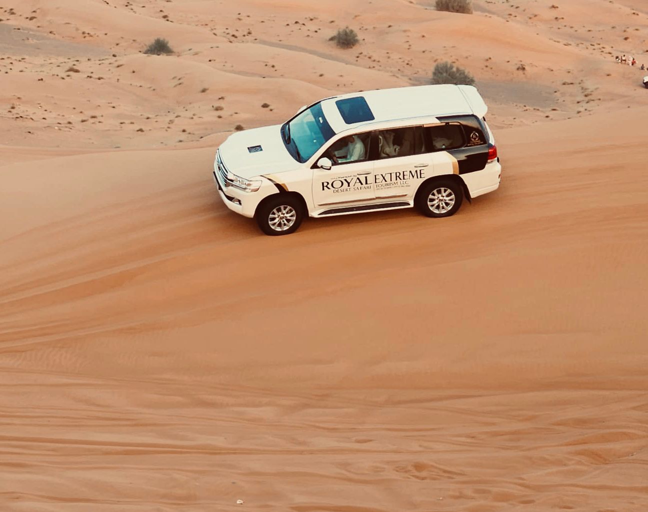 arabian desert tour Packages